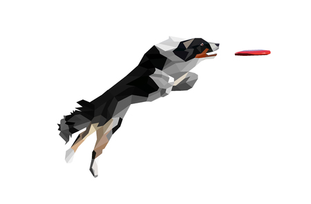 Low Poly Illustration of Real Looking Dog Jumping and Catching Disc. Border Collie Fetching Disc on White Background.のイラスト素材