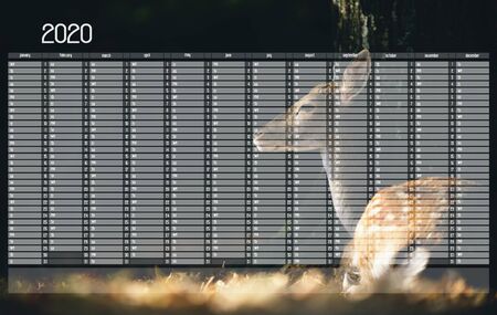 Yearly Wall Calendar Planner Template for Year 2020. Autumnal Scene: Beautiful Fallow Deer Lying...