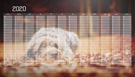 Yearly Wall Calendar Planner Template for Year 2020. Dog Lying on the Ground in the Forest in the...
