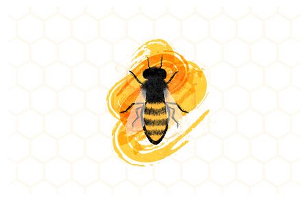 Illustration of honey bee on honeytombs. Designed for labels for honey products and more.の写真素材