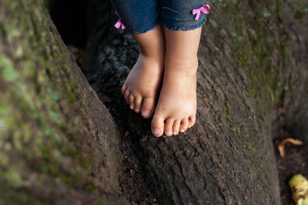Toddlers foot standing on the tree roots without shoes. Natural barefoot lifestyle.の写真素材