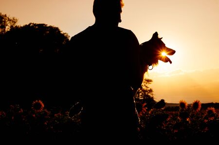 Border collie in sunset. Man with a dog in arms.の写真素材