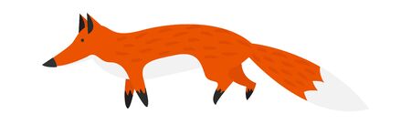 Simple Vector Illustration with Cute Standing Fox.のイラスト素材