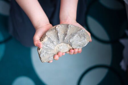 Unrecognizable child holding a fossil in hands.の写真素材