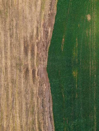 field texture top view from droneの写真素材