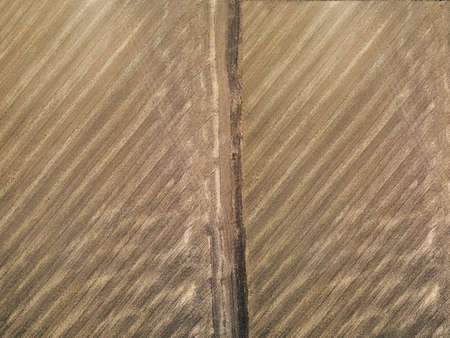 fields with crops top view