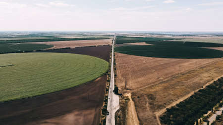 texture of fields and trees top viewの写真素材