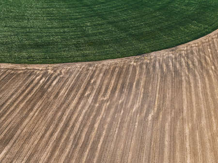 texture of fields and trees top viewの写真素材