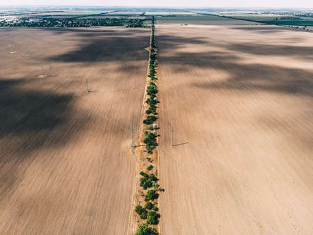 texture of fields and trees top viewの写真素材