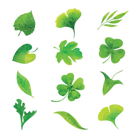 set of green watercolor leaves, hand drawn vector elementsのイラスト素材