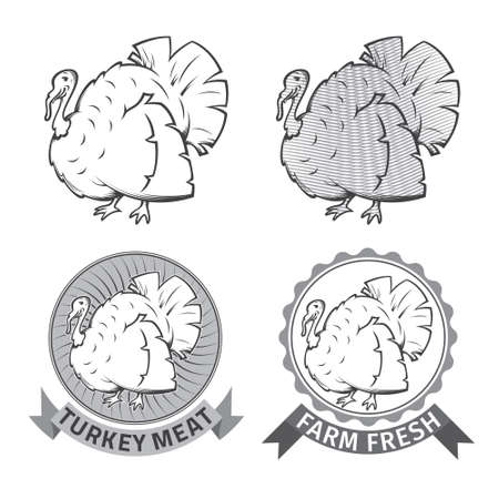 Set of premium turkey meat logo and design elementsのイラスト素材