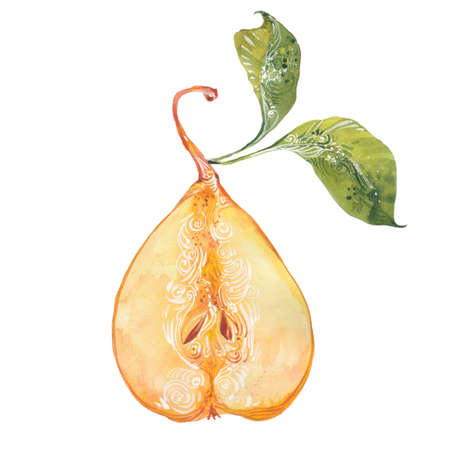 yellow pear, watercolor illustration  on white backgroundの写真素材
