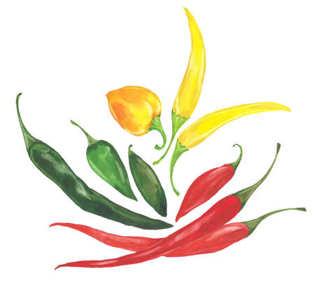 watercolor chilli peppersの写真素材