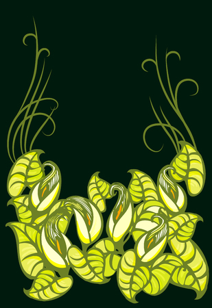 Ornament of lilies and leaves. Vector illustration of Calla lilies.のイラスト素材