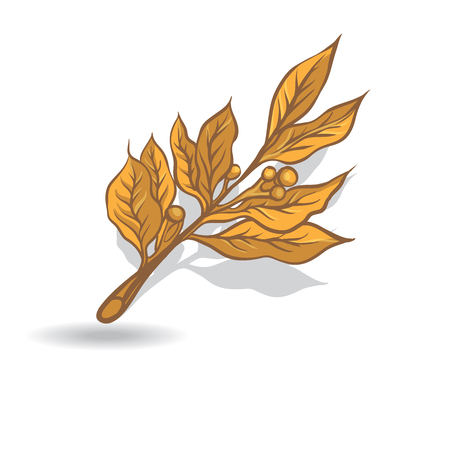 laurel branch. Symbols Of Victory Day.のイラスト素材