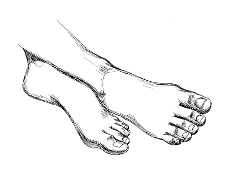 Womens feet without shoes. A set of isolated elements for the design of Spa treatments, foot health, beauty. Hand drawing in sketch style. Vector illustration.のイラスト素材