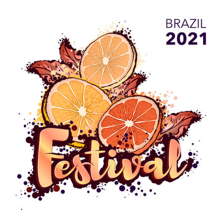 Citrus wedges, tangerine, grapefruit. Color sketch drawing, isolated object on a white background.のイラスト素材