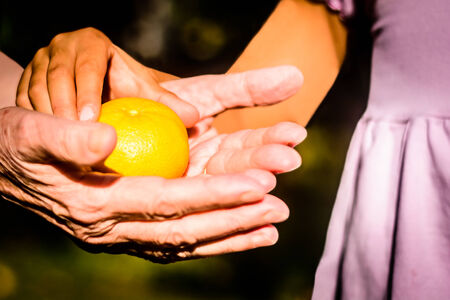 Grandmother giving her Granddaughter clementineの写真素材