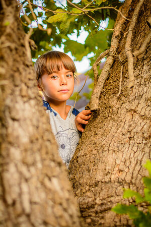Little girl is looking from behind the treeの写真素材