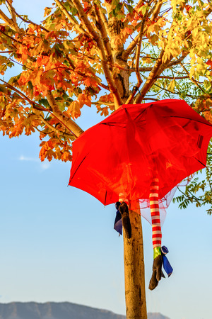 Halloween Decorationの写真素材