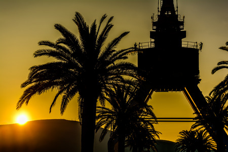 Crane and Palm Tree in the sunsetの写真素材