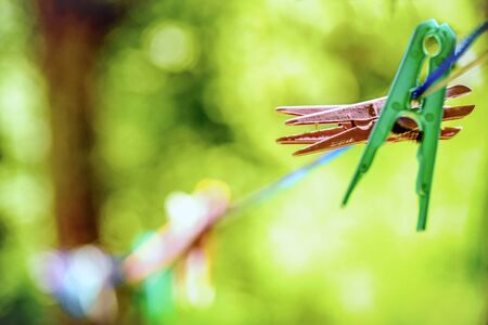Colored clothespinsの写真素材
