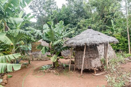 Chagga-Masai tribe Huts in Marangu Village,  Tanzaniaの写真素材