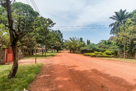 Dirt road with trees and houses in Bukoba, Tanzaniaの写真素材