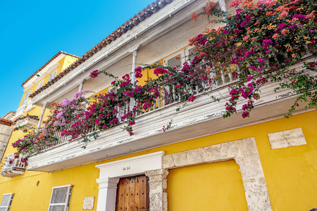 Colorful houses in the old town Cartagena, Colombiaの写真素材
