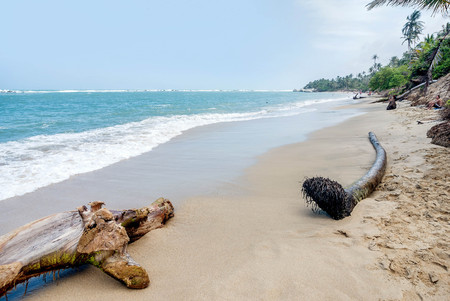 Beach at Tayrona National Park Santa Marta in Colombiaの写真素材