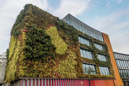 London, UK- January 11, 2018:Building in London covered with green ivyのeditorial素材