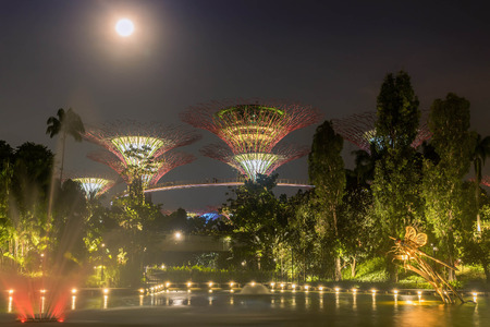 Illuminated Supertrees in Gardens by the Bay at night, Singaporeのeditorial素材