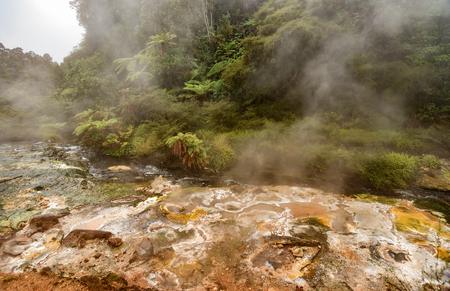 Thermal Land in Rotorua, New Zealandの写真素材