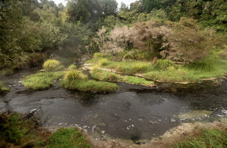 Thermal water on the  Land in Rotorua, New Zealandの写真素材