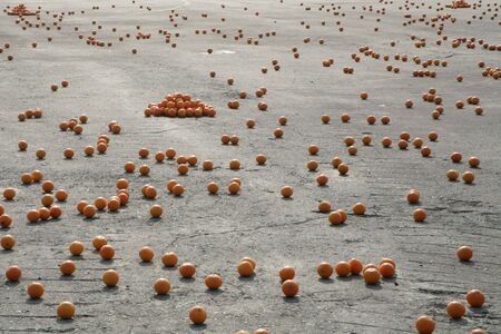 a lot of oranges lying on the roadの写真素材