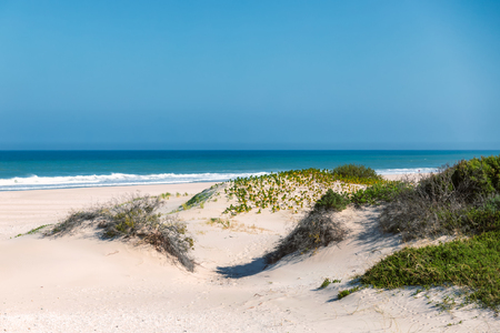 The beach of Jeffreys Bay - south african capital of surfingの写真素材