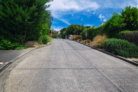 Baldwin street - world's steepest street, Dundein, New Zealandの写真素材