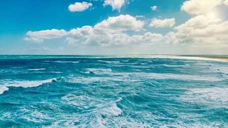Pacific Ocean view in Otago, New Zealand