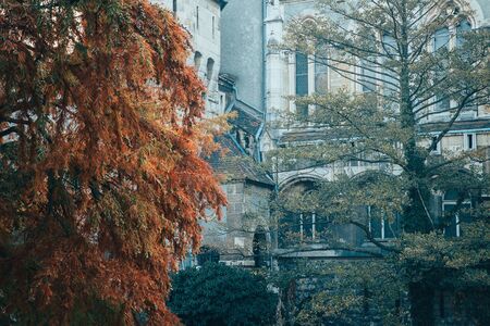 Gothic style facade and colorful trees in autumn season