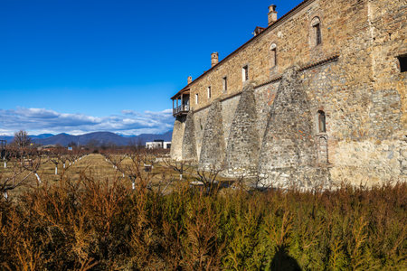 Famous Alaverdi monastery in Kakheti region in Georgiaの写真素材