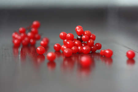 viburnum on a background of dark woodの写真素材