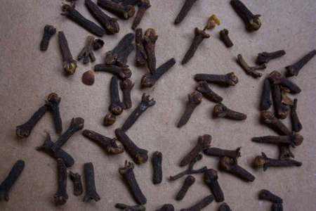 pattern carnationの写真素材