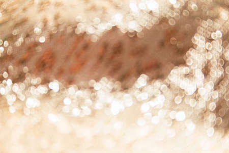 blurred bokeh background
