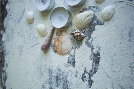 Spa concept: seashells and candles on the rough plaster backgroundの写真素材