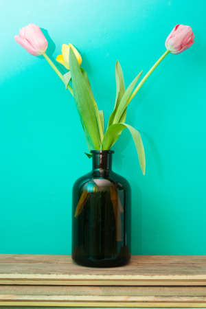 tulips in a vintage vase against blue wallの写真素材