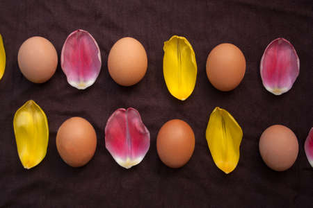 fresh brown eggs and petals of a Tulip on a dark tablecloth, top view, flat lay.