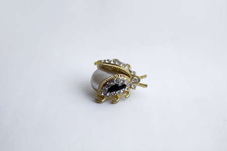 Gilt brooch in the form of a beetle with a pearl and small semiprecious stonesの写真素材
