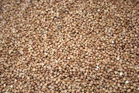 buckwheat for backgroundの写真素材
