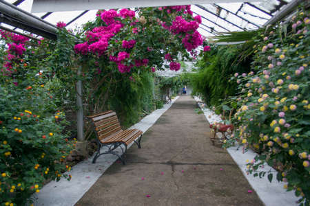 reenhouseの写真素材