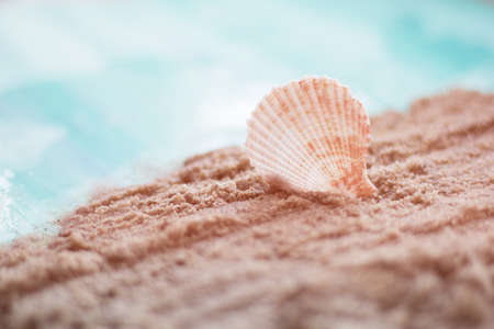 blurred beach toned backgroundの写真素材